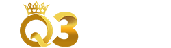 Q3 Logo